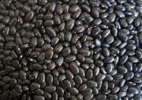 black-beans-14522_640