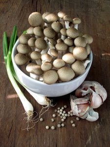 mushroom-1724952_640