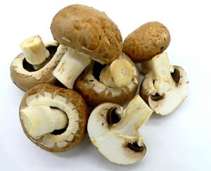 mushrooms-2097619_640