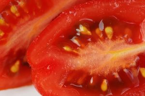 tomatoes-1303010_640