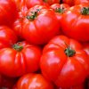tomatoes-5356_640